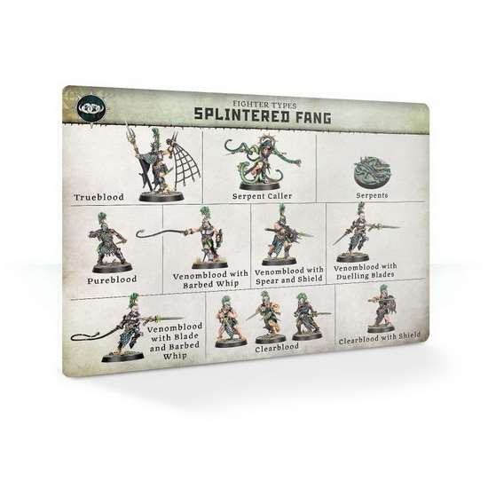 Warhammer Age of Sigmar. Warcry: Splintered Fang. Карты