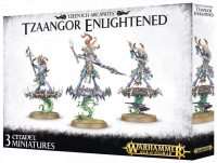 Warhammer Age of Sigmar. Tzeentch Arcanites: Tzaangor Enlightened / Skyfires