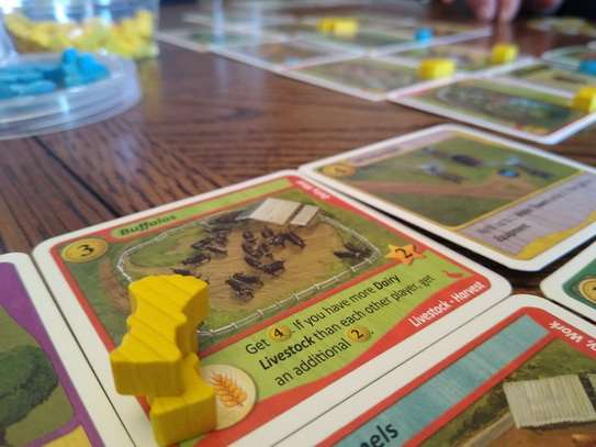 Fields of Green: Grand Fair. Компоненты