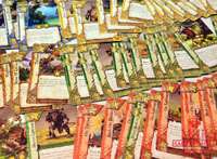 Blood Bowl Team Manager Настольная игра - Blood Bowl Team Manager