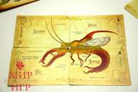 Настольная игра Веселая Генетика Настольная игра Веселая Генетика