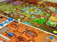 Настольная игра Myrmes (Муравьи)