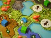 Настольная игра Myrmes (Муравьи)